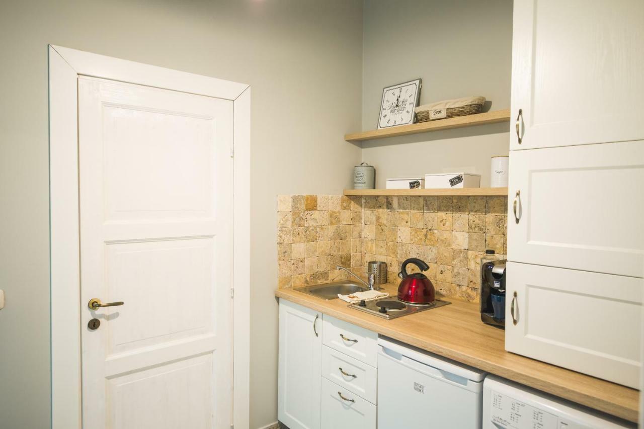 Chic Apartment In Historical City Center Тимишоара Экстерьер фото